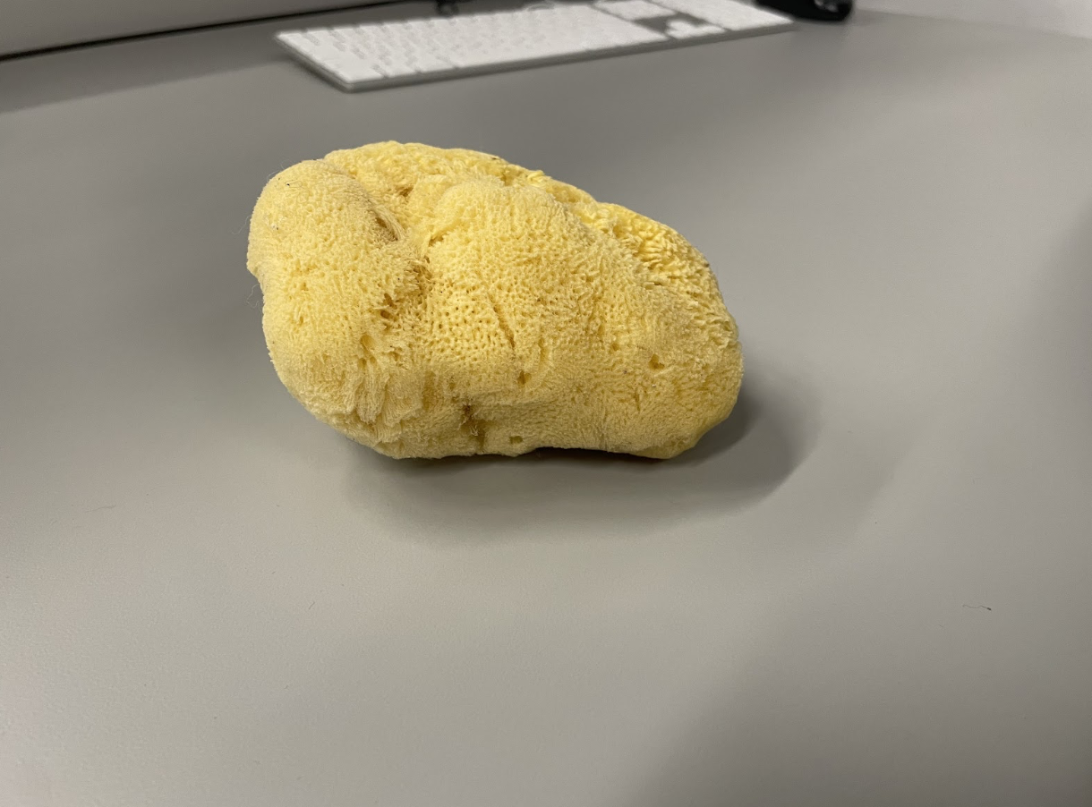 Object 3 - Sponge 
      State: raw
      
      Plasticity: pliable
      
      Material Use: cleaning, art, medical
      